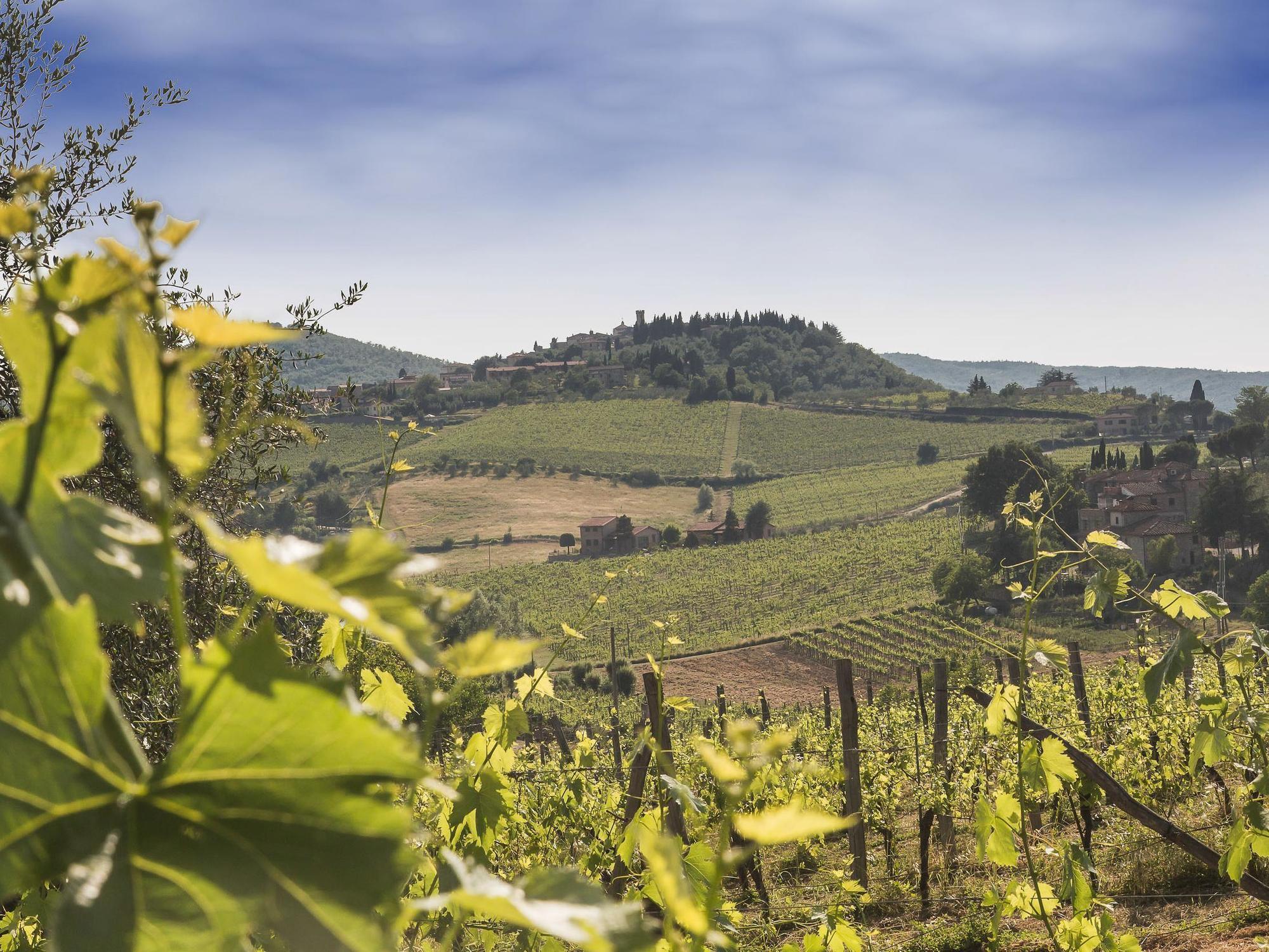 Relais Santa Cristina Guest House Radda in Chianti Ngoại thất bức ảnh