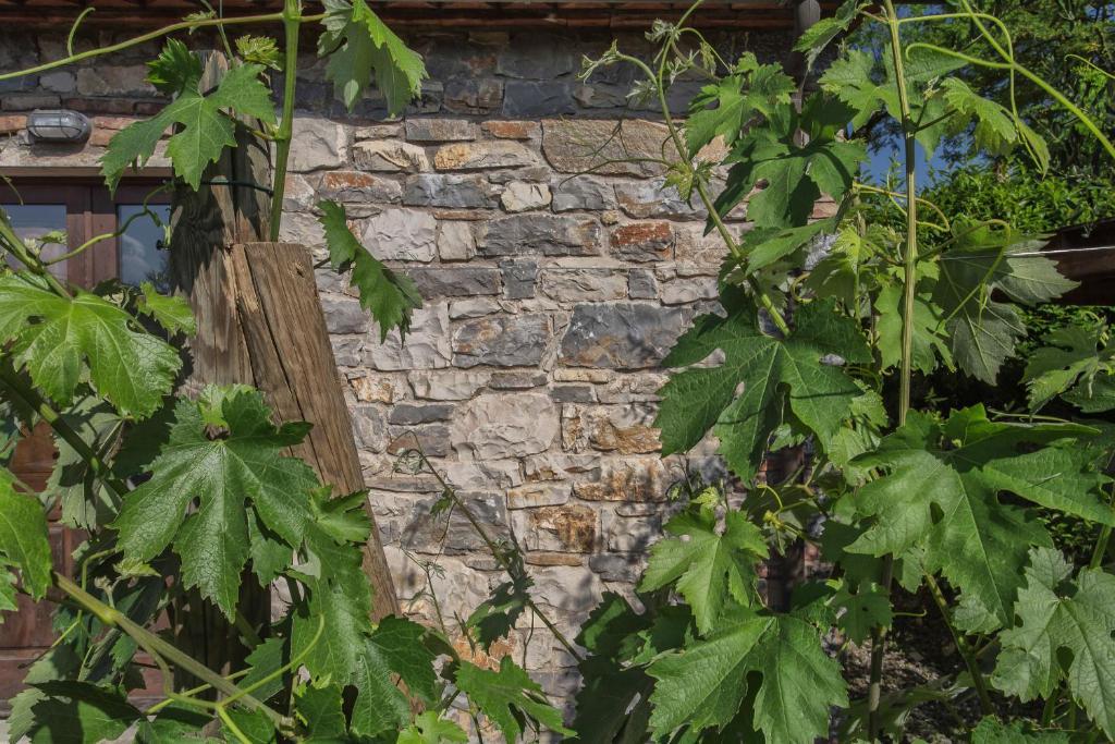 Relais Santa Cristina Guest House Radda in Chianti Ngoại thất bức ảnh