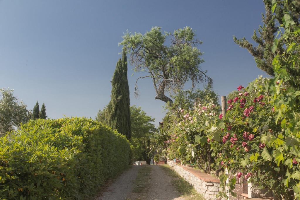 Relais Santa Cristina Guest House Radda in Chianti Ngoại thất bức ảnh